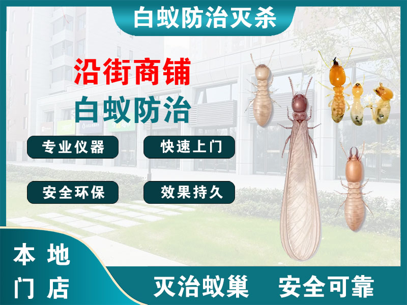 滨湖沿街商铺白蚁防治