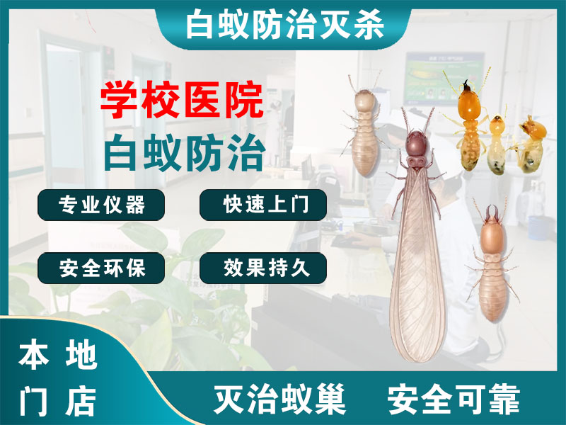 滨湖学校医院白蚁防治