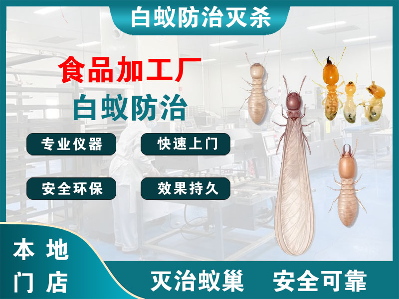 滨湖食品加工厂白蚁防治