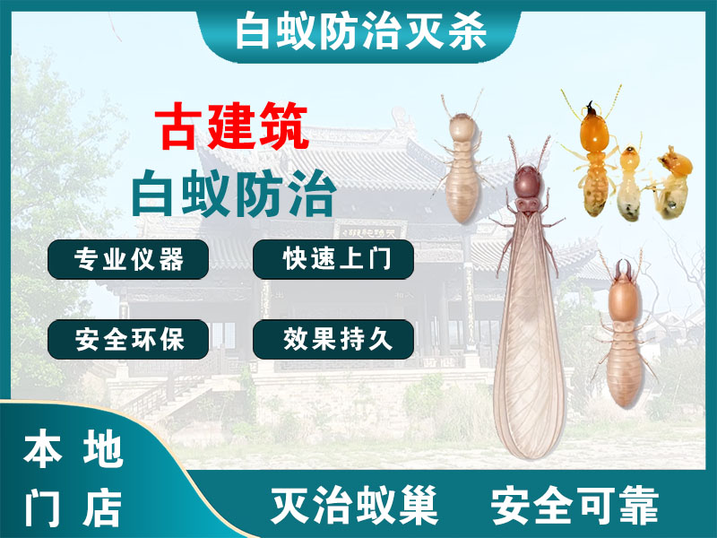 滨湖古建筑白蚁防治