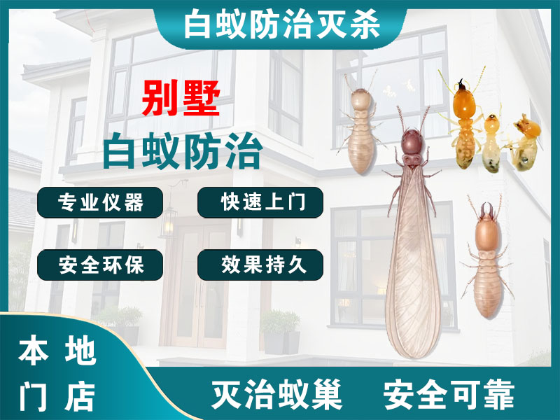 滨湖别墅白蚁防治